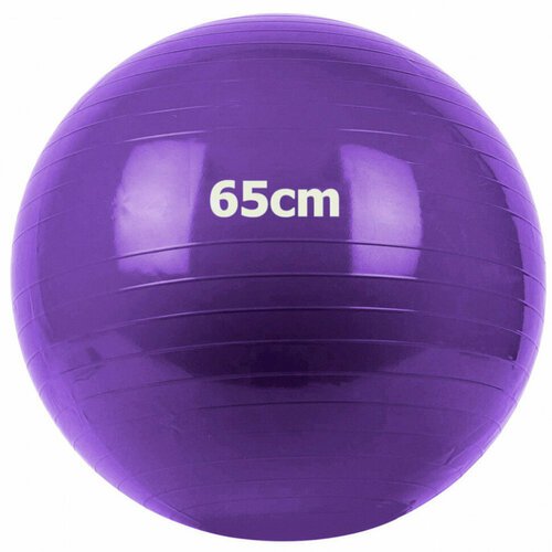 Мяч гимнастический Gum Ball 65 см (фиолетовый) GM-65-4