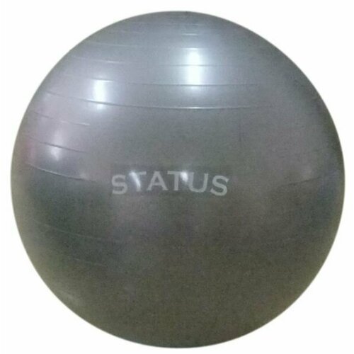 Гимнастический мяч с насосом FKA-22 Status (55 см)