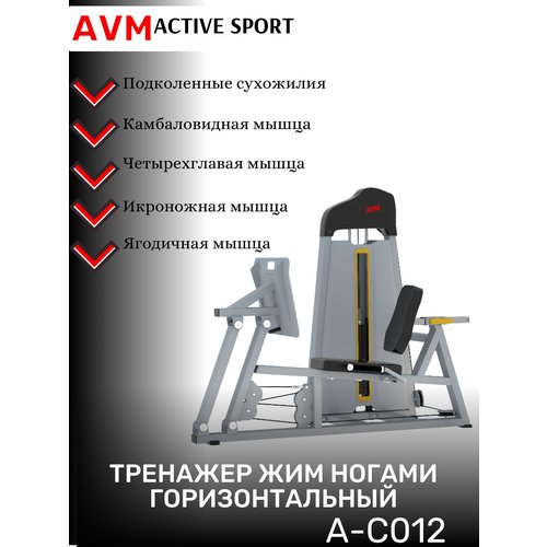 Профессиональный силовой тренажер для зала Жим ногами горизонтальный AVM A-C012