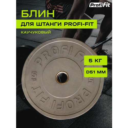 Диск для штанги каучуковый, цветной, PROFI-FIT D-51 (5 кг, серый)