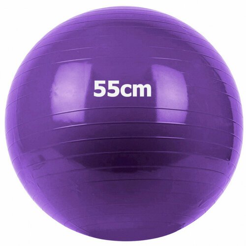 Мяч гимнастический Gum Ball 55 см (фиолетовый) GM-55-4