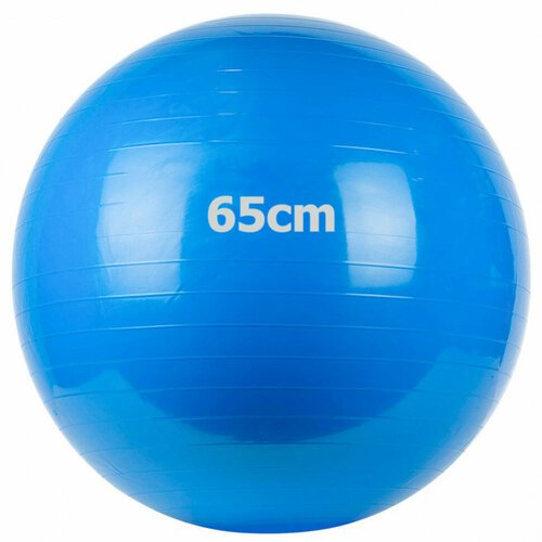 Мяч гимнастический Gum Ball 65 см (синий) GM-65-2