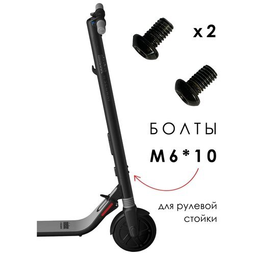 Комплект болтов/винтов M6*10 для электросамоката Segway-Ninebot KickScooter ES1 / ES2 / ES4 (2 шт.)